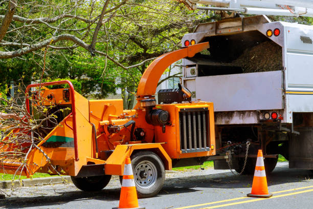 Grass Overseeding in Norwich, CT